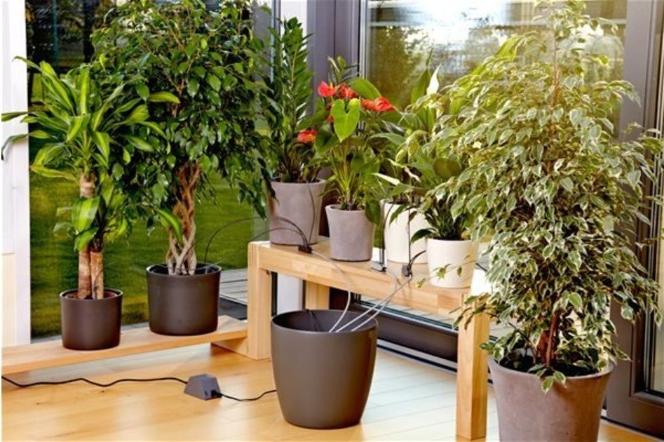 Современные решения для обустройства Современные решения для обустройства